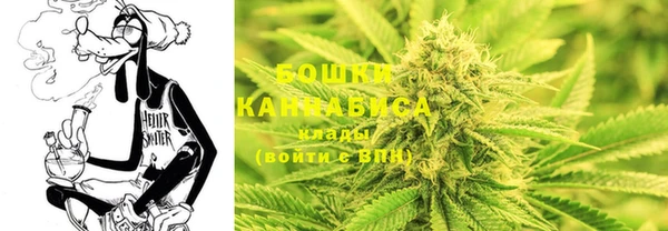 PSILOCYBIN Аркадак