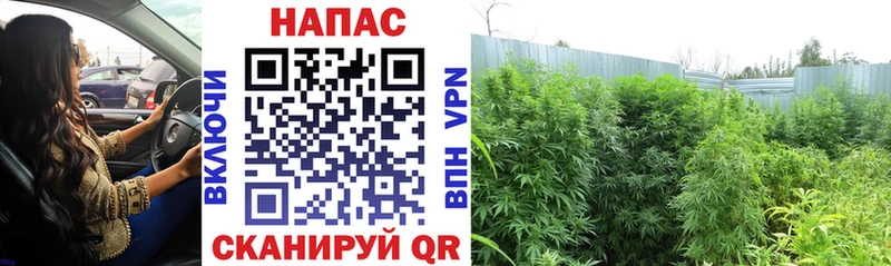 Канабис Bruce Banner  Ивдель 